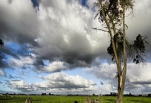 南美杯赛激烈角逐：巴西与阿根廷大战一触即发