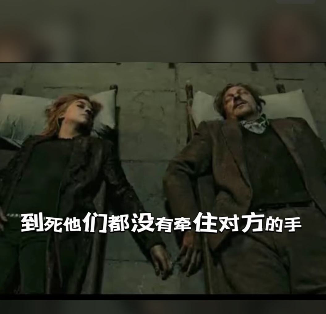 关于哈利亲笔：言语无法形容这种失落的痛苦，但我会振作起来的信息
