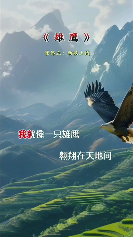星空体育-老鹰大胜公牛，喜迎胜利表现出色