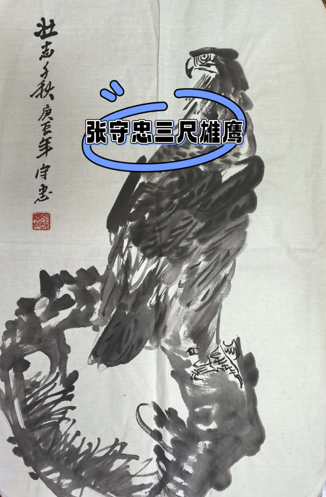 老鹰大胜公牛，喜迎胜利表现出色